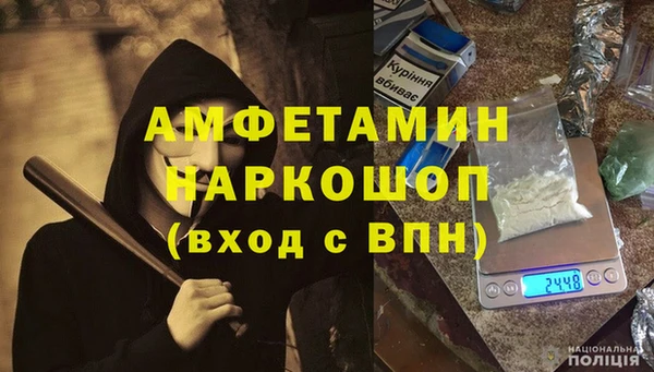 твердый Протвино