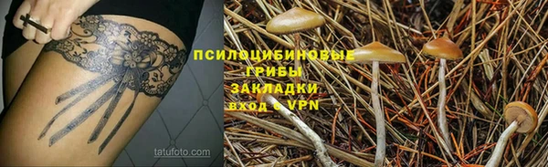 гидропоника Армянск