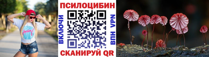 Псилоцибиновые грибы ЛСД  хочу   Приморско-Ахтарск 
