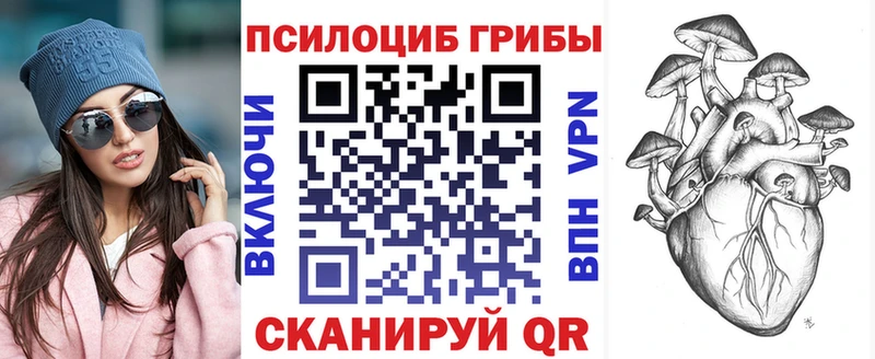 Псилоцибиновые грибы Psilocybine cubensis Приморско-Ахтарск